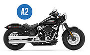 SOFTAIL SLIM® 107 A2